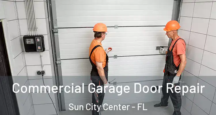  Commercial Garage Door Repair Sun City Center - FL