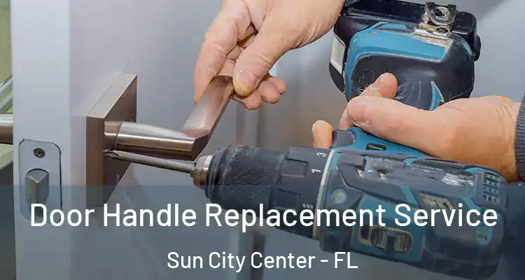  Door Handle Replacement Service Sun City Center - FL
