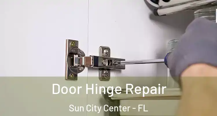  Door Hinge Repair Sun City Center - FL