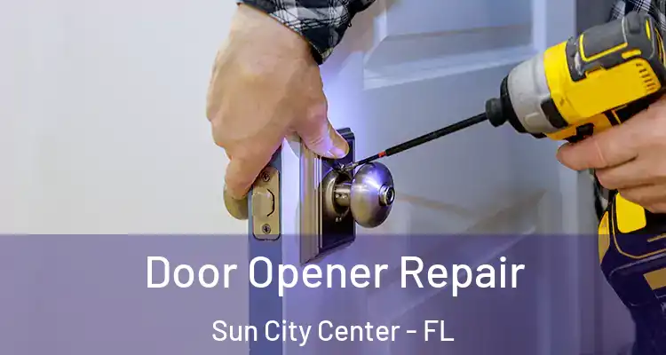  Door Opener Repair Sun City Center - FL