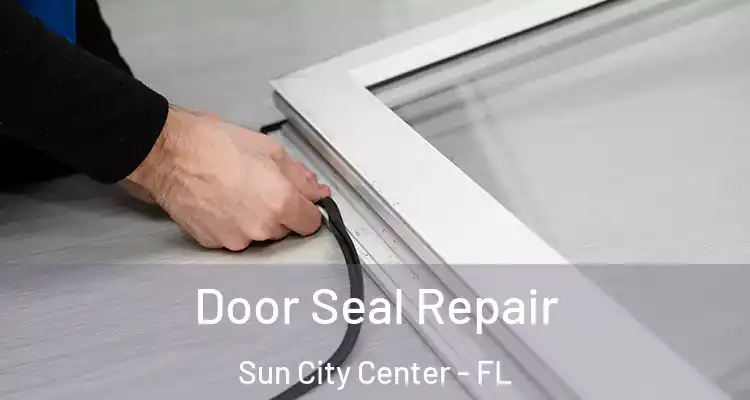  Door Seal Repair Sun City Center - FL