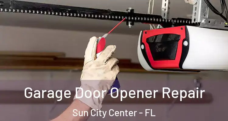  Garage Door Opener Repair Sun City Center - FL