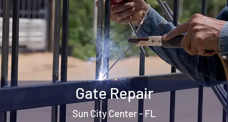  Gate Repair Sun City Center - FL