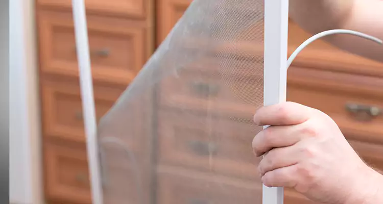 Privacy Mesh Screen Door Installation in Sun City Center, FL