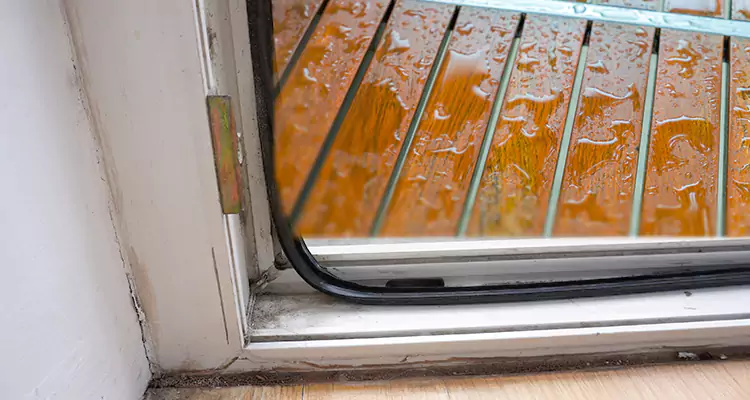 Water Leaking Wooden Patio Doors Repair in Sun City Center, FL