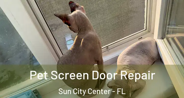  Pet Screen Door Repair Sun City Center - FL