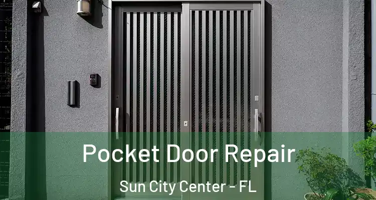  Pocket Door Repair Sun City Center - FL