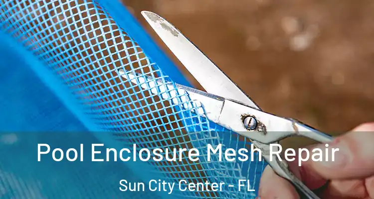  Pool Enclosure Mesh Repair Sun City Center - FL