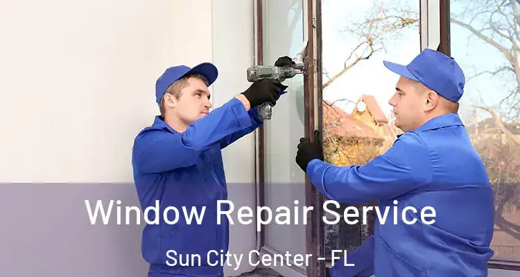  Window Repair Service Sun City Center - FL