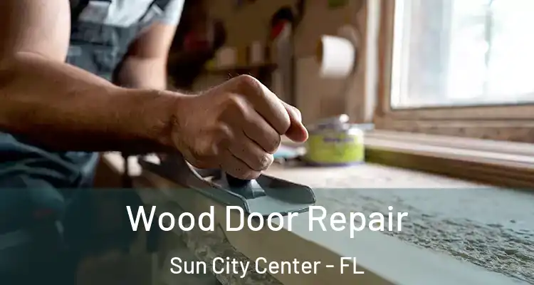 Wood Door Repair Sun City Center - FL